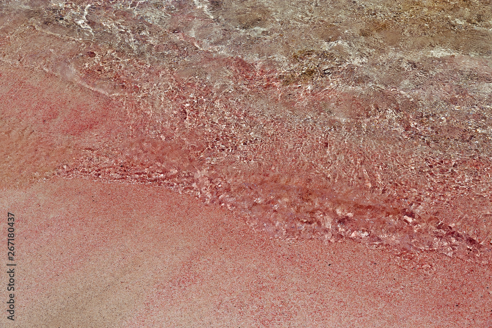 Fototapeta premium Famous pink sand beach Elafonisi. Popular place on the island of Crete in Greece. Beautiful sand of amazing color. Clear water in shallow water.