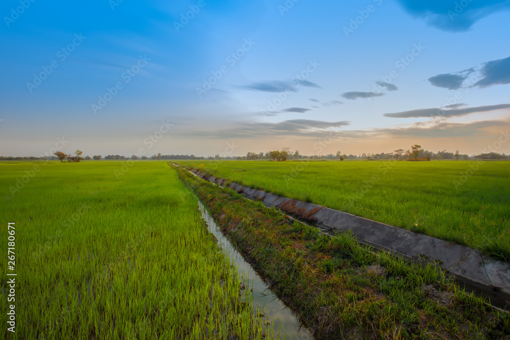 Asia, Indonesia, Thailand, Aerial View, Agricultural Field Asia, Indonesia, Thailand, Aerial View, Agricultural Field
