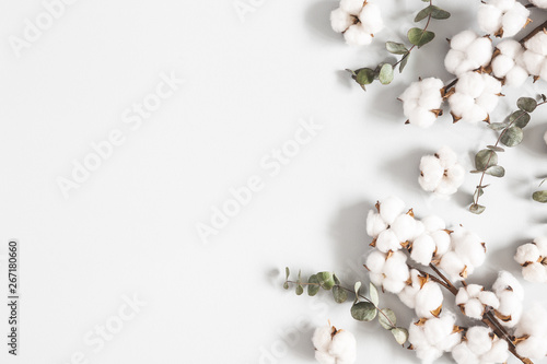 Flowers composition. Eucalyptus leaves and cotton flowers on pastel gray background. Flat lay, top view, copy space