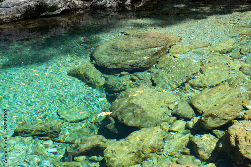 Fototapeta premium 四国 安居渓谷 高知県の清流 仁淀川