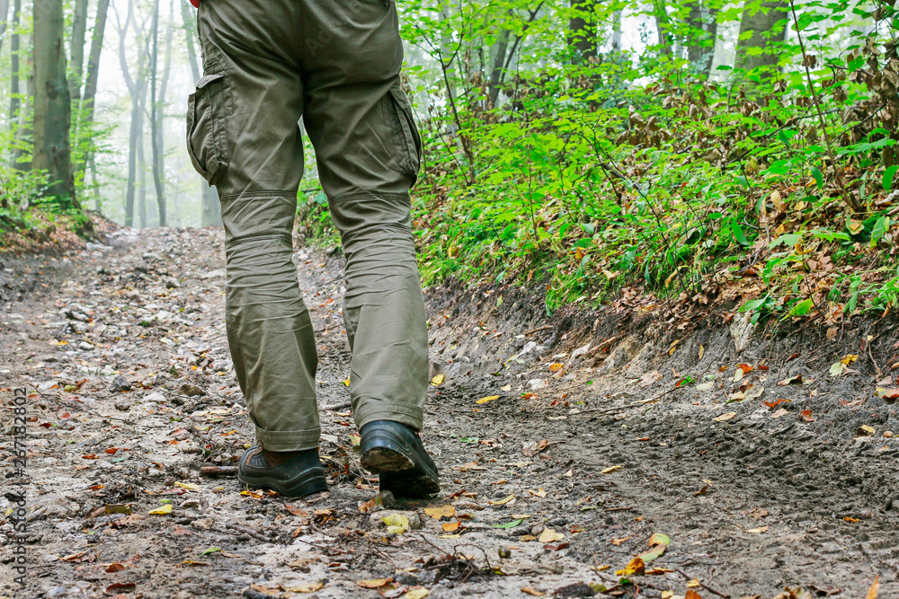 The traveler walks the road through a dark forest. The traveler walks the road through a dark forest.