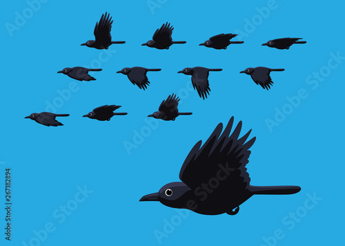 Crow Flying Motion Animation Sequence Cartoon Vector Illustration