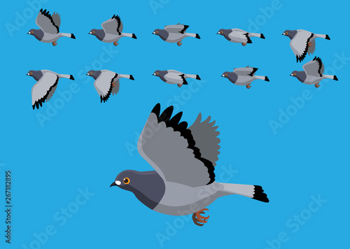 Pigeon Flying Motion Animation Sequence Cartoon Vector Illustration