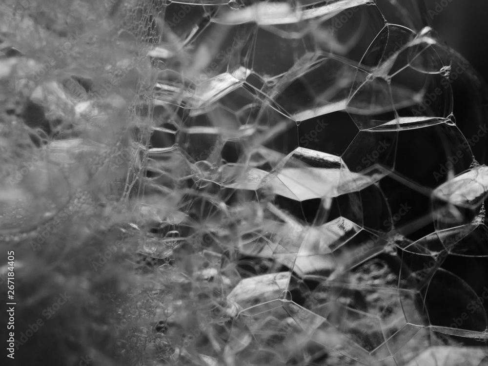 custom made wallpaper toronto digitalclose up bubbles water foam background, abstract bubble soap texture