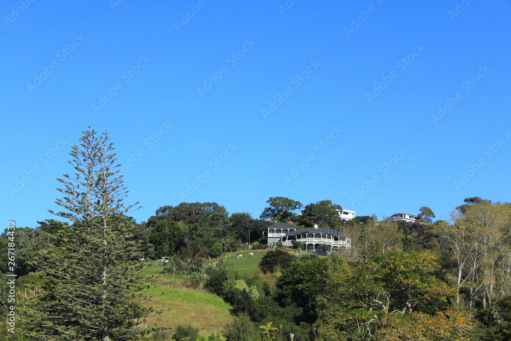 Fototapeta premium mountain and beach landscape in New Zealand
