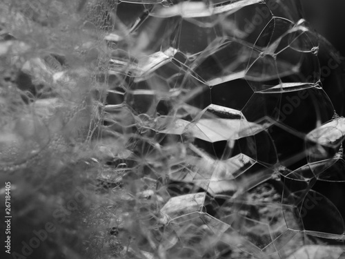 Wallpaper Mural close up bubbles water foam background, abstract bubble soap texture Torontodigital.ca