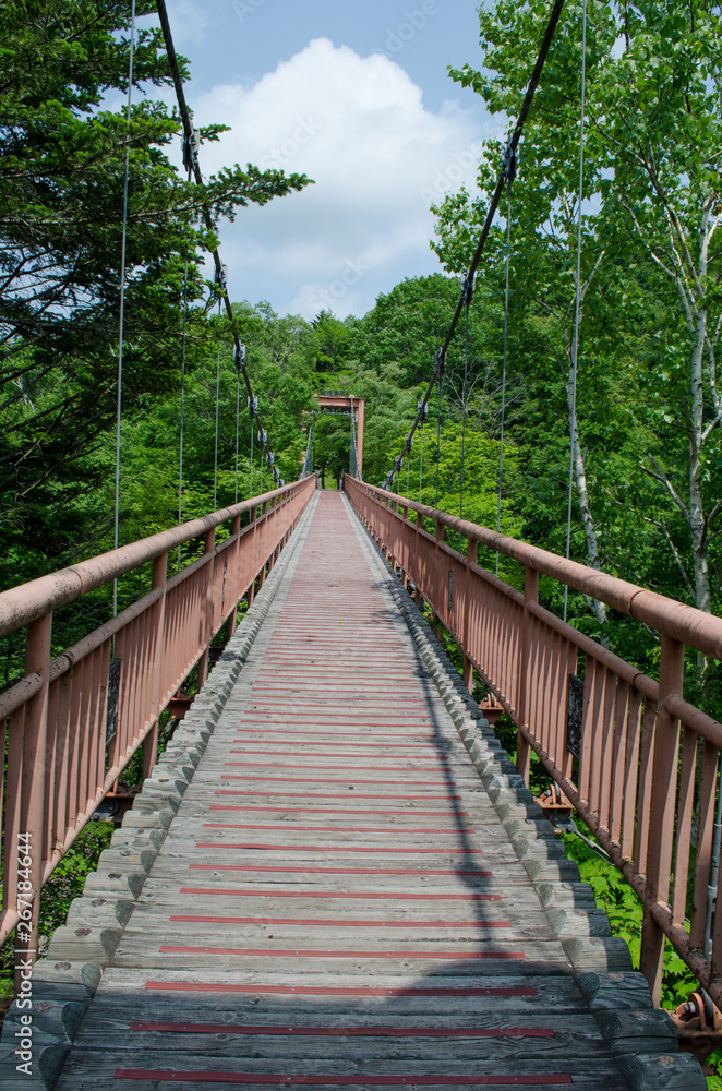 Fototapeta premium 滝の上公園の風景