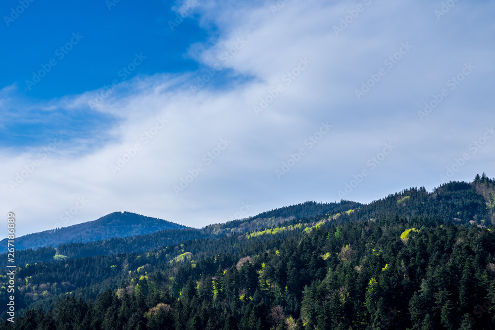 Germany, Black forest nature landscape of endless tree covered mountains in spring