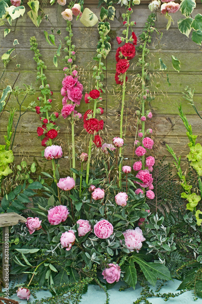 Floral arrangement with Hollyhocks and paeonia