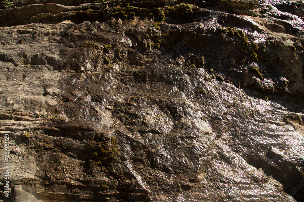 Wet Rock Wall Texture