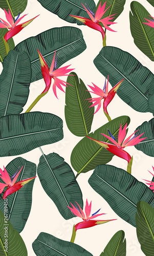 Seamless pattern banana leaf with pink bird of paradise