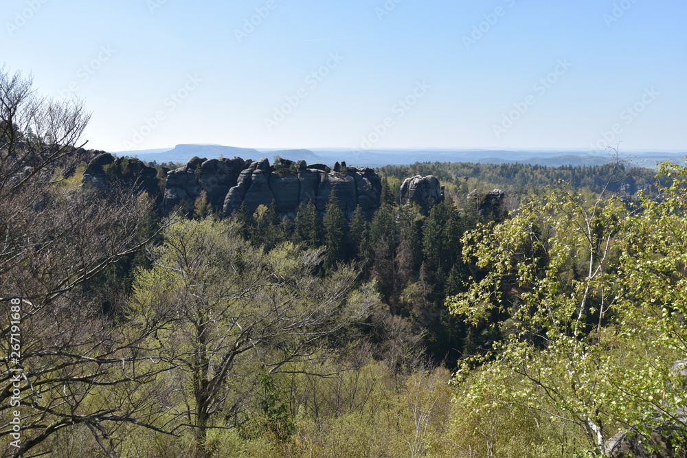Fototapeta premium Panorama of Elbe Sandstone Mountains in beautiful Saxon Switzerland near Bohemian Switzerland in Germany