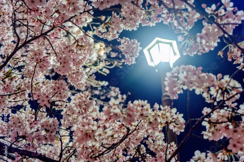 abstract background with flowers