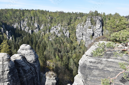 Panorama of Elbe Sandstone Mountains in beautiful Saxon Switzerland near Bohemian Switzerland in Germany photo