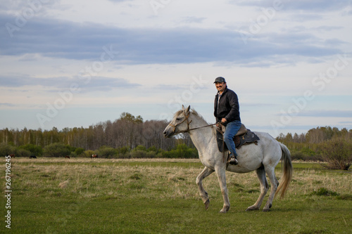  A rider on a white horse in the field