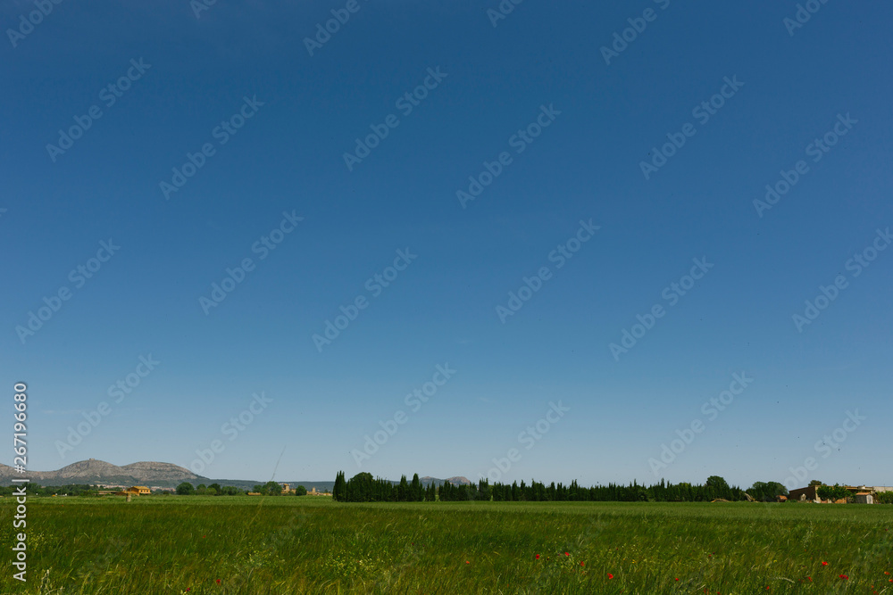 Obraz premium Fields around Peratallada