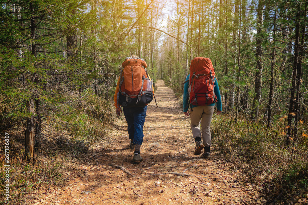 Group of hikers walking with backpacks in the sunset from the back. Adventure travel, tourism, Hiking and friendship Group of hikers walking with backpacks in the sunset from the back. Adventure travel, tourism, Hiking and friendship