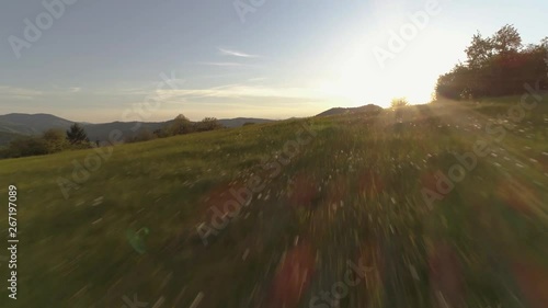 Flying low over the blooming field aerial video