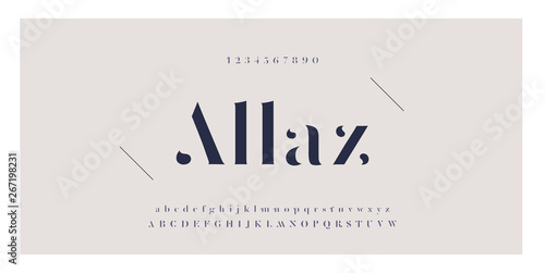 Elegant awesome alphabet letters font and number. Classic Lettering Minimal Fashion Designs. Typography fonts regular uppercase and lowercase. vector illustration