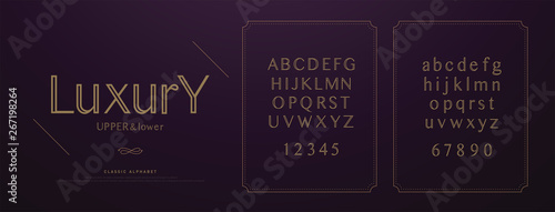 Elegant luxury alphabet letters font set. Wedding Classic Lettering Designs. Typography fonts regular, italic and number. vector illustration
