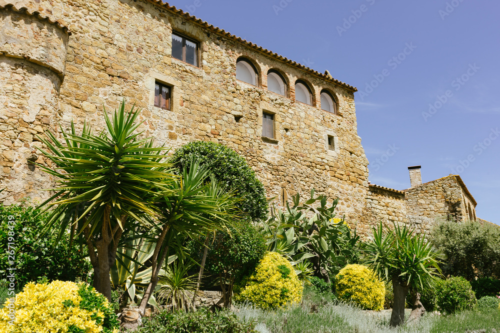 Fototapeta premium Pals at a sunny day