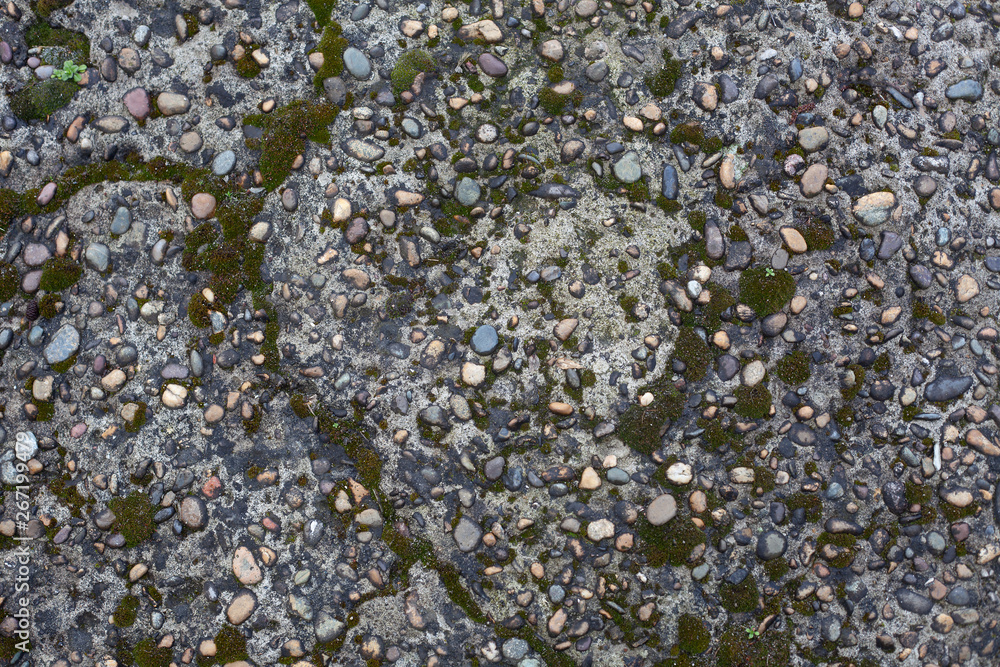 Pebble inlay in concrete with moss Pebble inlay in concrete with moss