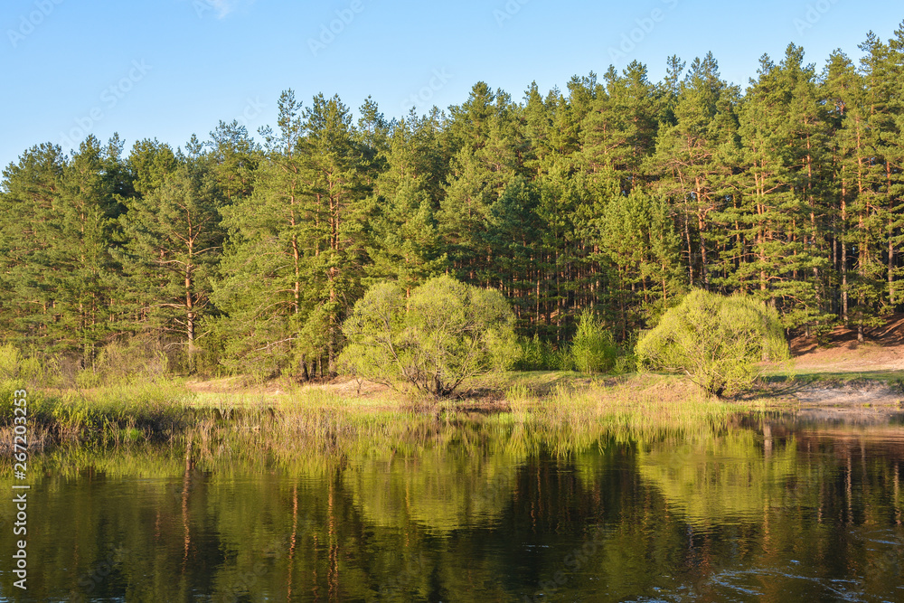 Spring river in the national Park 