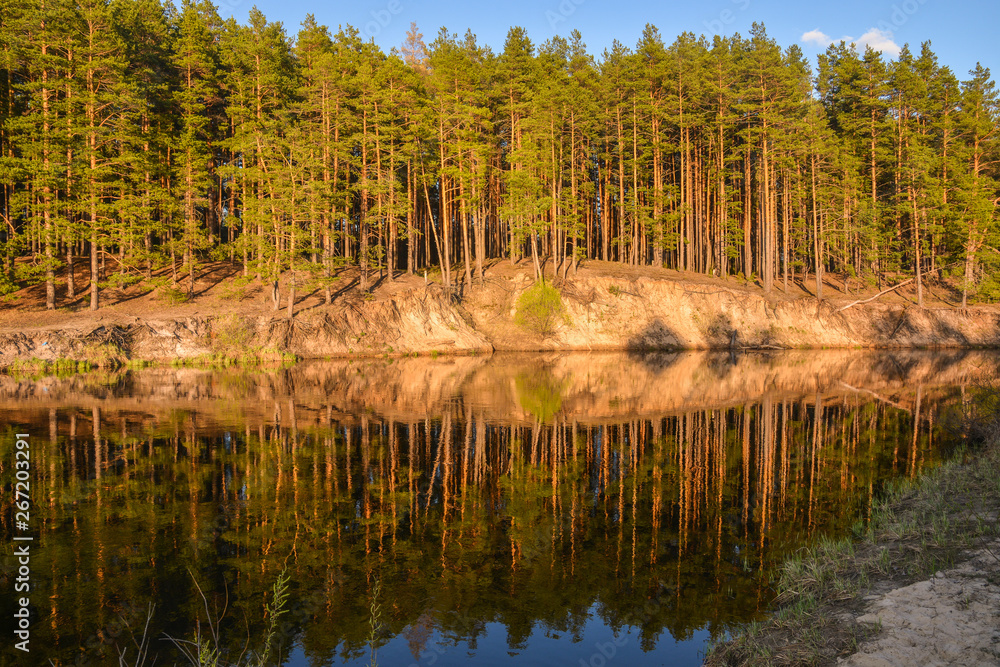 Spring river in the national Park 