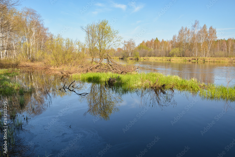 Obraz premium Źródlana rzeka w Parku Narodowym "Meshersky", region Ryazan.