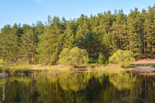 Spring river in the national Park  Meshersky   Ryazan region.