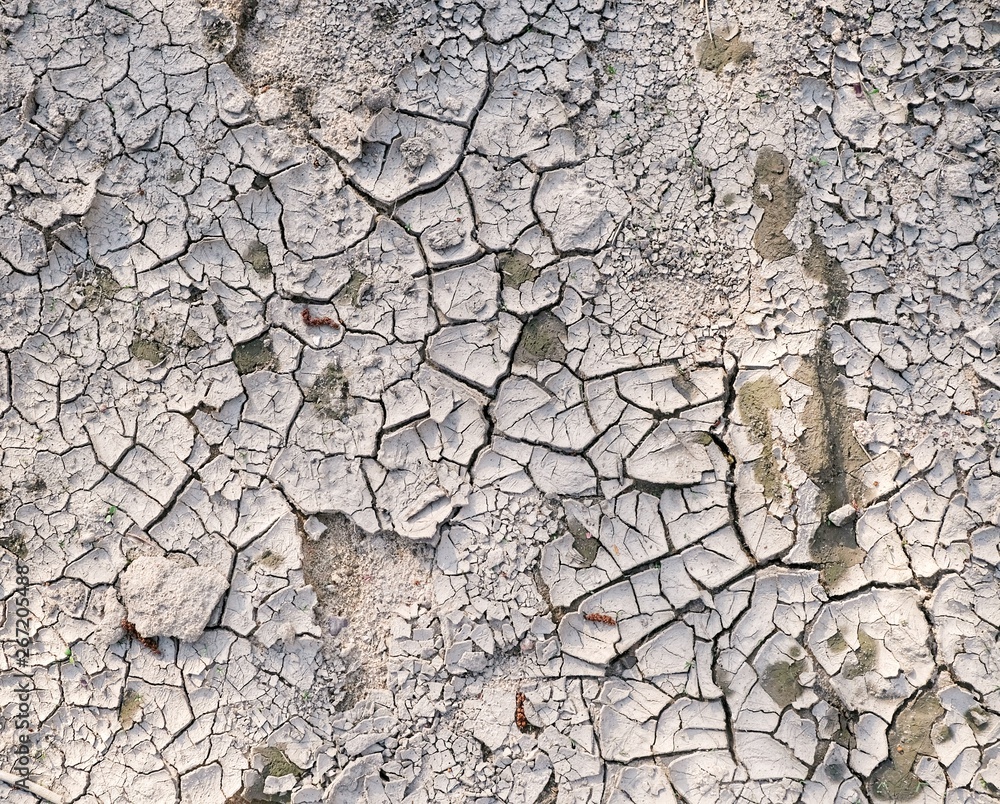 Dried lifeless soil. Desert. Texture