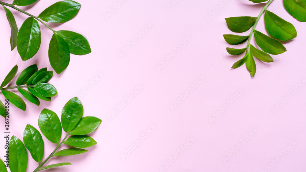 Tropical leaves on pink background, flat lay top view. Greeting card poster template