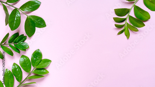 Tropical leaves on pink background, flat lay top view. Greeting card poster template