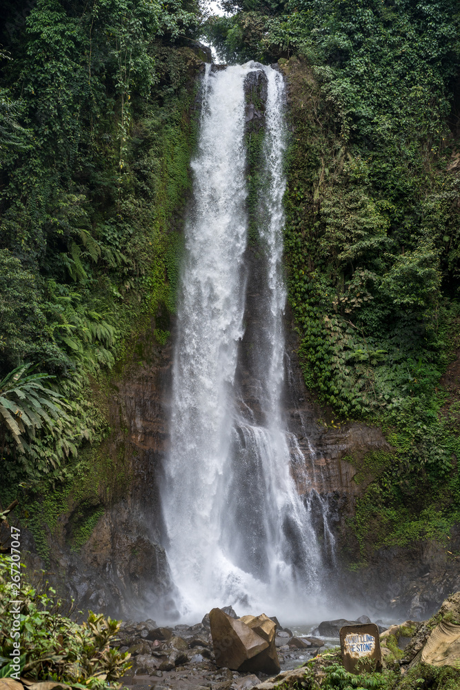 Fototapeta premium waterfall in forest