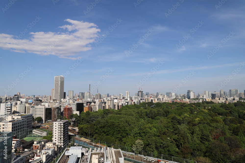 Panorama Shibuya Tokyo Japon