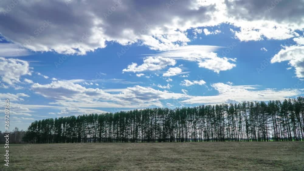 Clouds move quickly over the field and the little forest Clouds move quickly over the field and the little forest