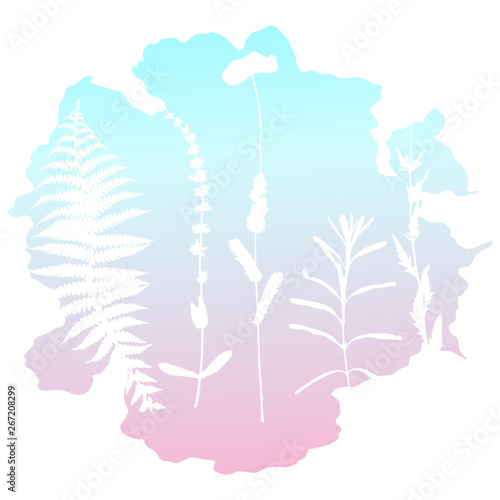 Botanical illustration with herbs, plants, flowers and leaves. Isolated white vector silhouettes on gradient background. Graphic design for background, card, web banner, poster, invitation.