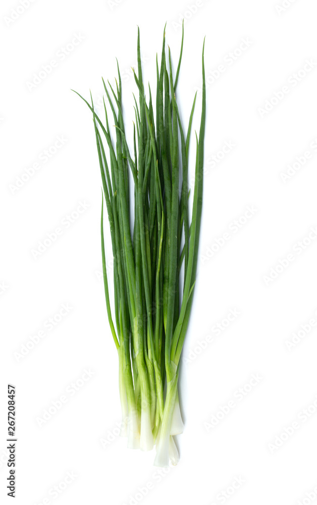 fresh bunch of green onions or scallions placed on white background fresh bunch of green onions or scallions placed on white background