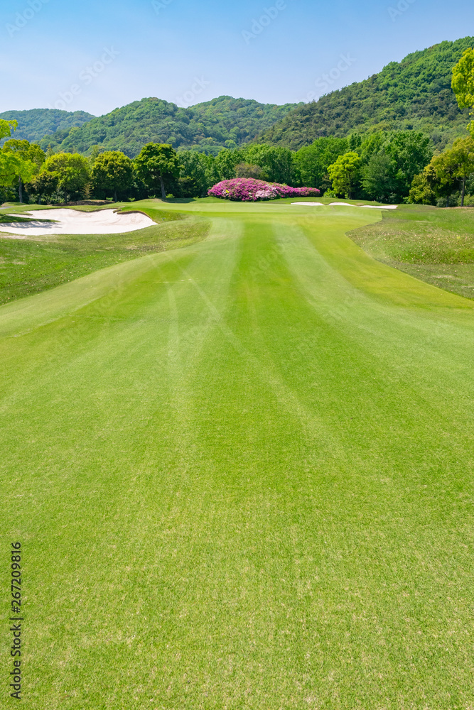 Golf Course with beautiful green field. Golf course with a rich green turf beautiful scenery. Golf Course with beautiful green field. Golf course with a rich green turf beautiful scenery.