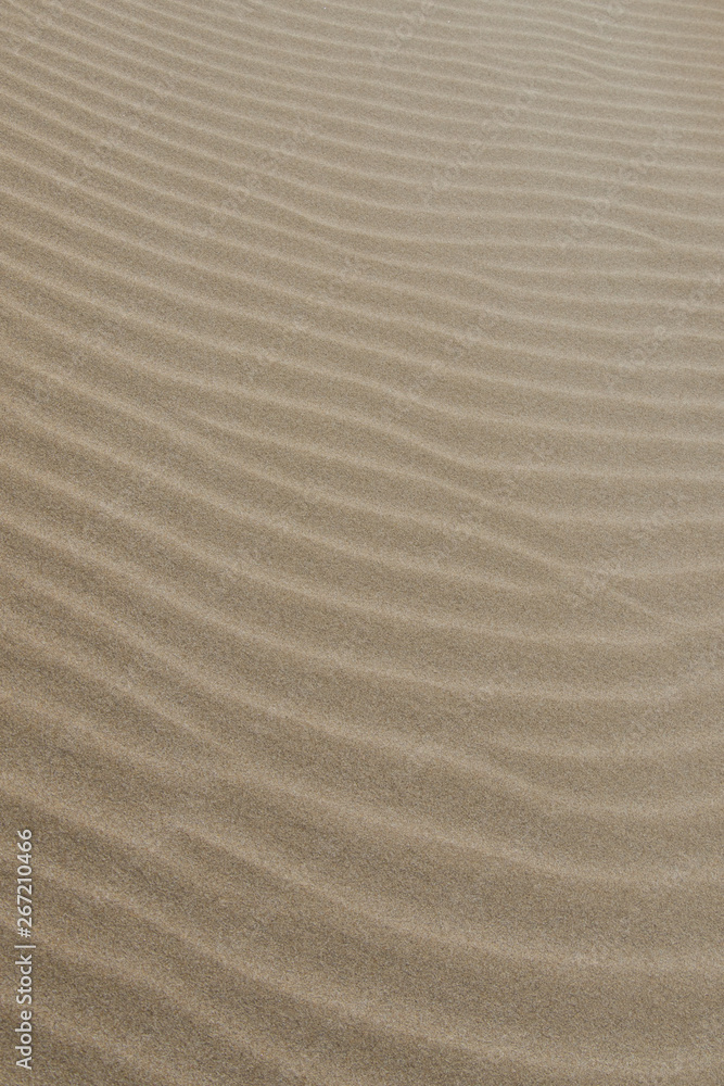 Fototapeta premium Sand beach pattern. Sand texture.