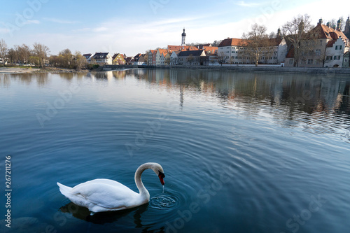 View of Landsberg Am Lech, Germany. Landsberg Am Lech River with Cityscape reflection. Swans on the river - Immagine