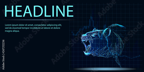 Stock exchange trading banner. The bears struggle. Banner. Abstract image of a starry sky or space, consisting of points, lines, n the form of stars and the universe. Low poly vector