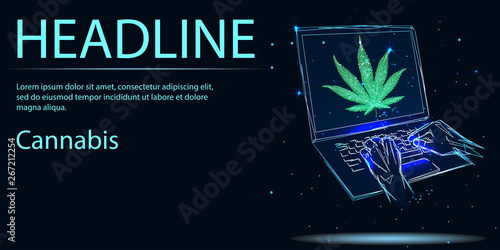 Cannabis online purchase of legal marijuana. Polygonal wireframe low poly Vector	