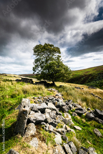 Haworth moor, Yorkshire