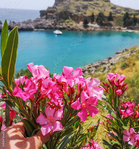 St paul's bay Lindos ,Rhodes/Greece May 6 2019 : the flowers and the magical sea of this island an ultimate destination for vacation in the historic village. © Giorgio Tzitzi