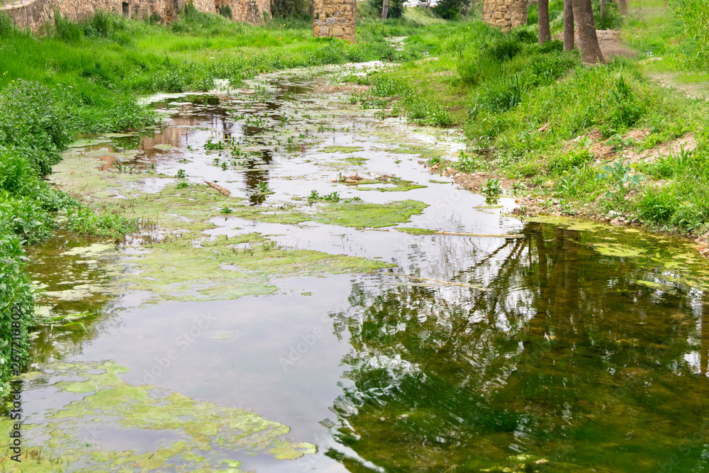REFLEJOS EN UN RIO CON LA VEGETACION ALREDEDOR REFLEJOS EN UN RIO CON LA VEGETACION ALREDEDOR