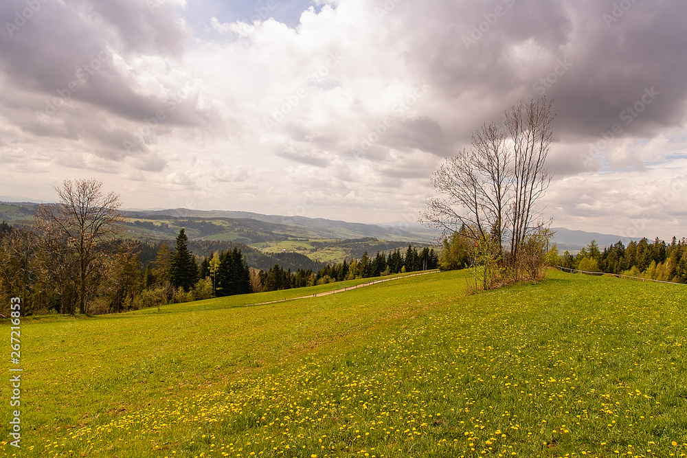 View from Gorce near Rabka Zdroj (Poland)