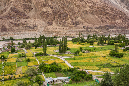 View of the Turtuk valley and the Shyok river in Ladakh, India