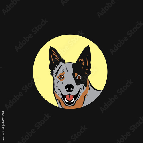 Australian cattle dog