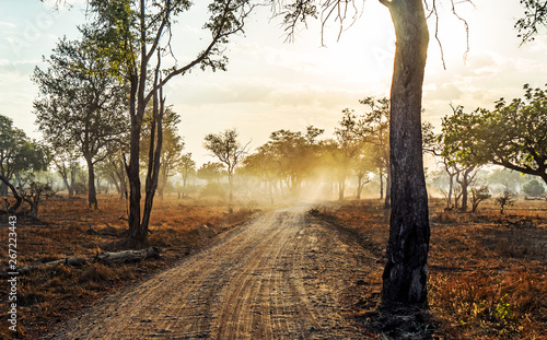 Long road in to the distance at sunset with light beams and smoke in luangwa Zambia Africa photo